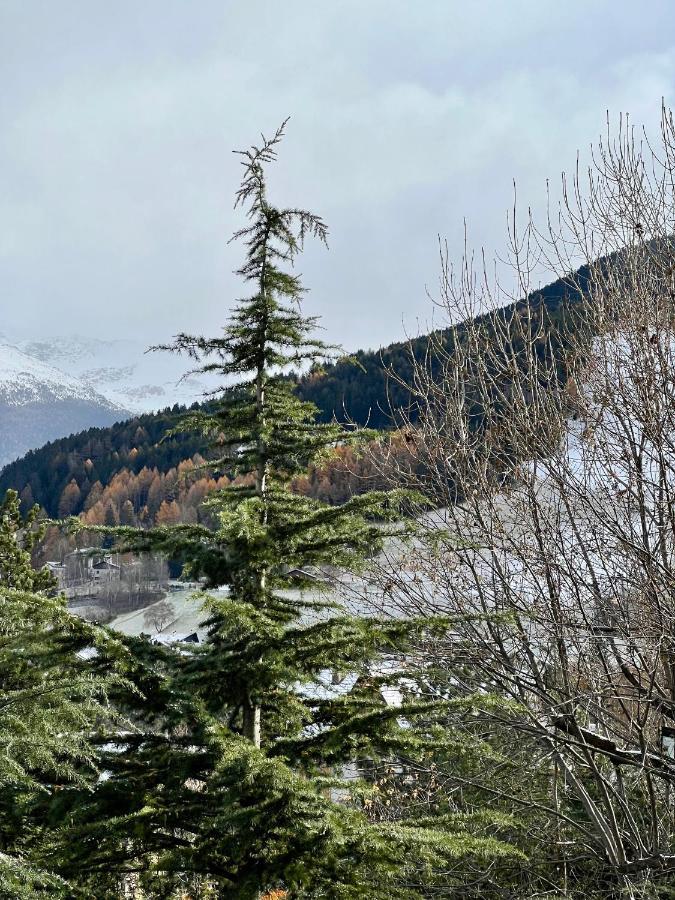 Il Pettirosso - Casa Vacanze Bormio Exteriér fotografie